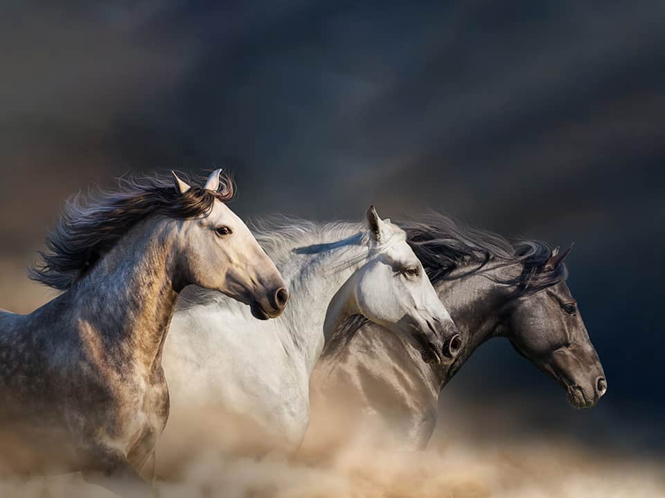 job_save_kisten_puenktliche_bezahlung_960x720