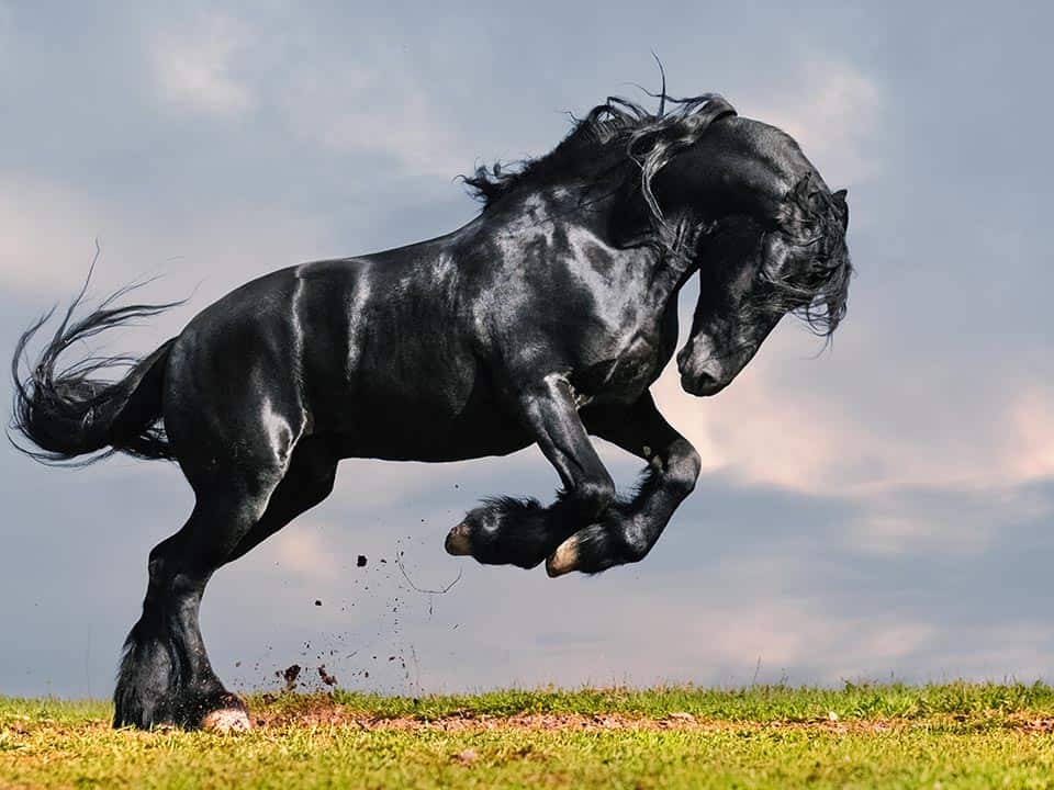 job_save_kisten_umwelt_960x720