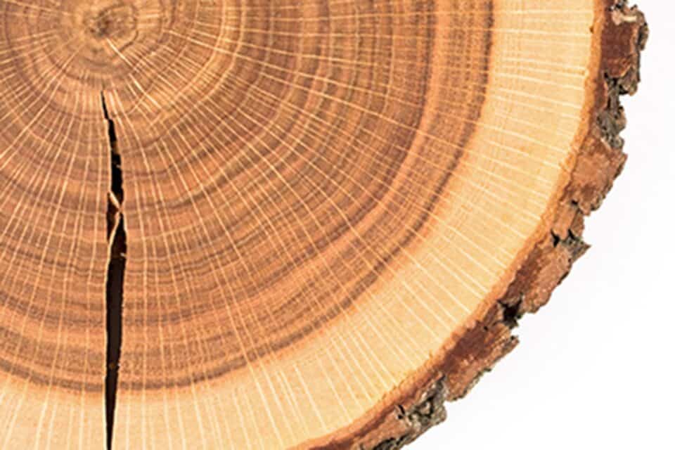 ueber_save_30jahre_erfahrung